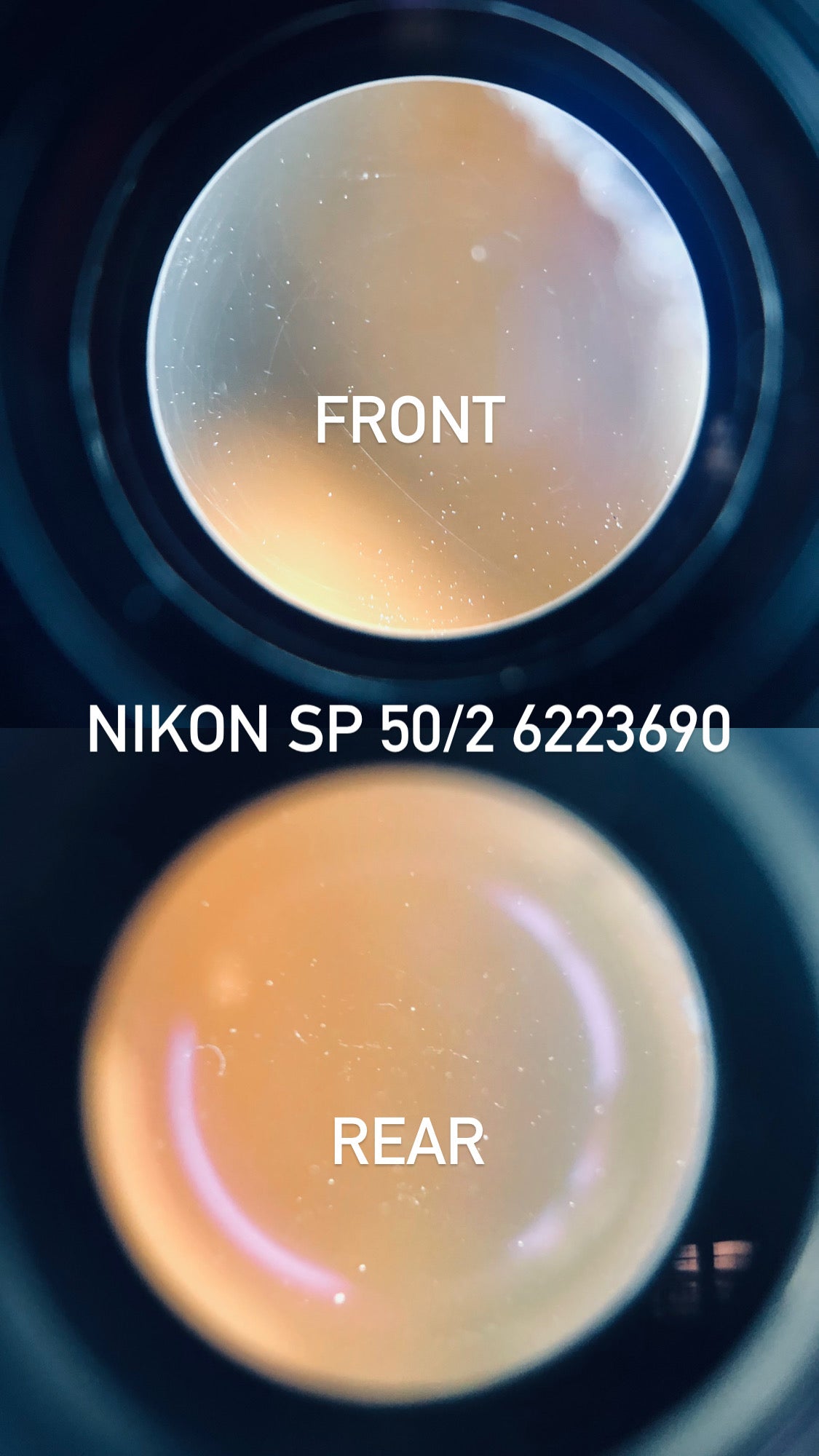 NIKON SP NIPPON KOGAKU + NIKKOR-H.C 50MM F2 RANGEFINDER 6223690