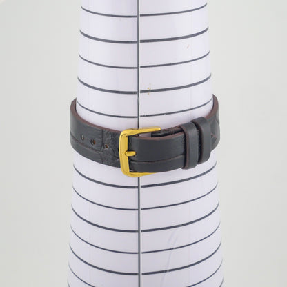 OMEGA SEAMASTER BUMPER AUTOMATIC REF. G6250